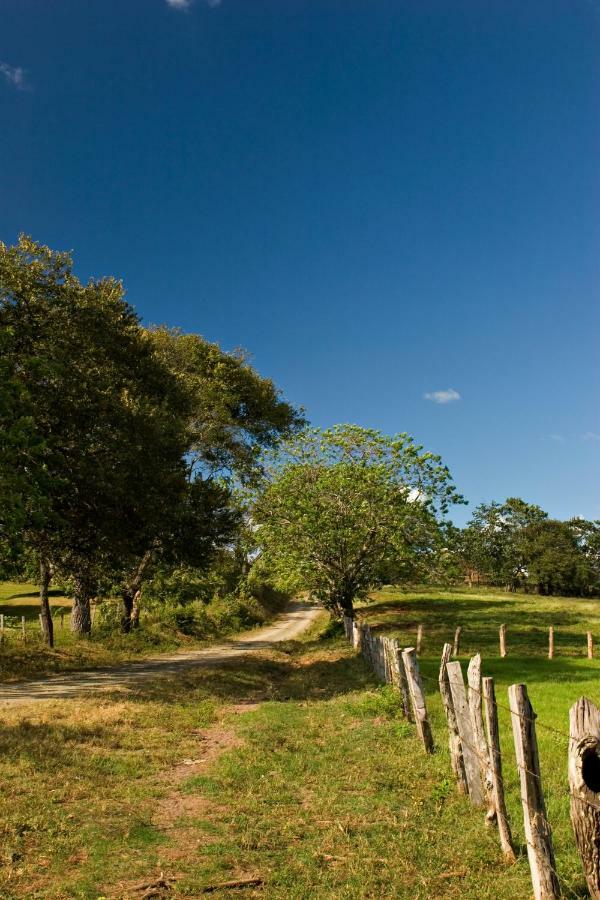 Pitaya Lodge Potrero (Guanacaste) Exterior foto